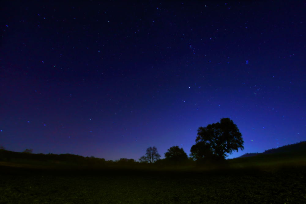 12. Platz Harald Unglert